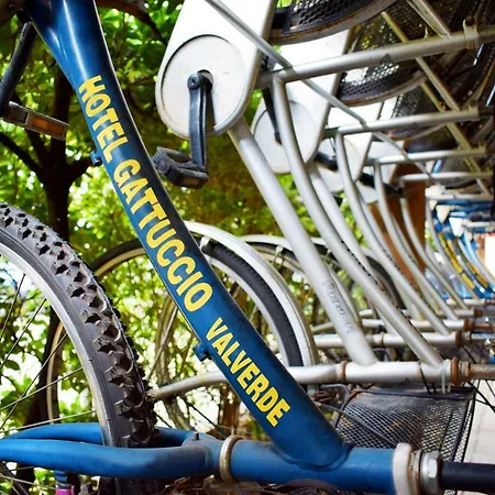 Gattuccio 3* Cesenatico