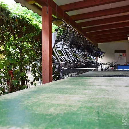 Gattuccio 3* Cesenatico