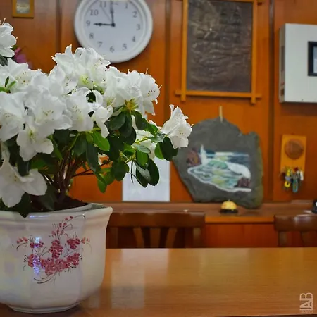 Gattuccio 3* Cesenatico