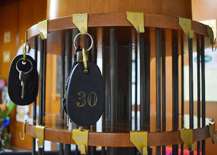 Gattuccio تْشيزيناتيكو