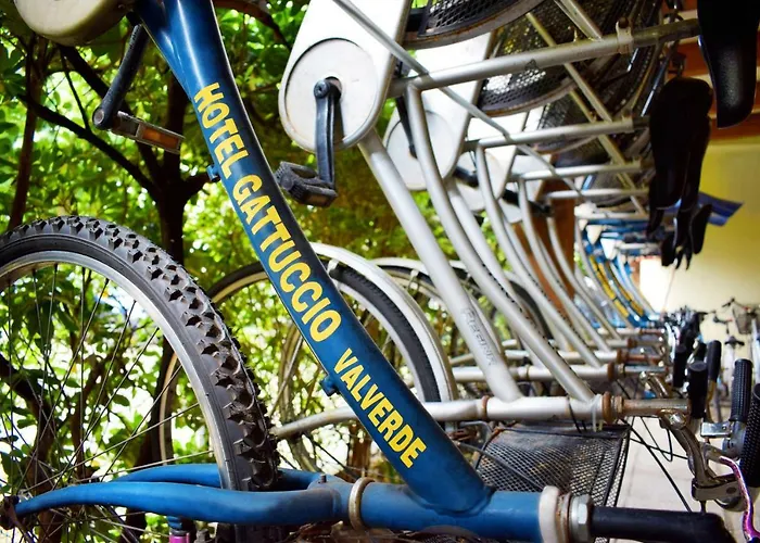 Gattuccio 3* Cesenatico