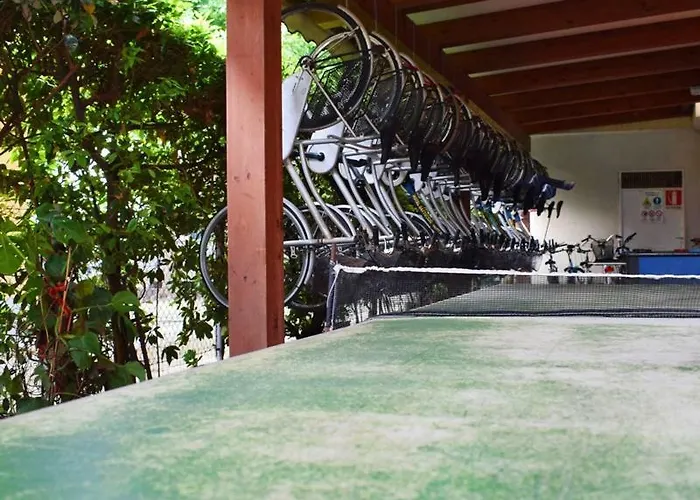 Gattuccio 3* Cesenatico