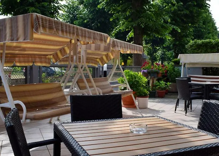 Gattuccio تْشيزيناتيكو