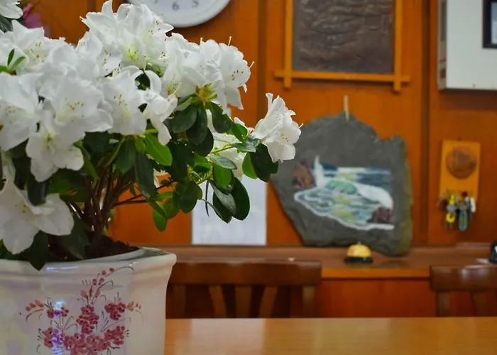 Gattuccio 3* 切塞纳蒂科